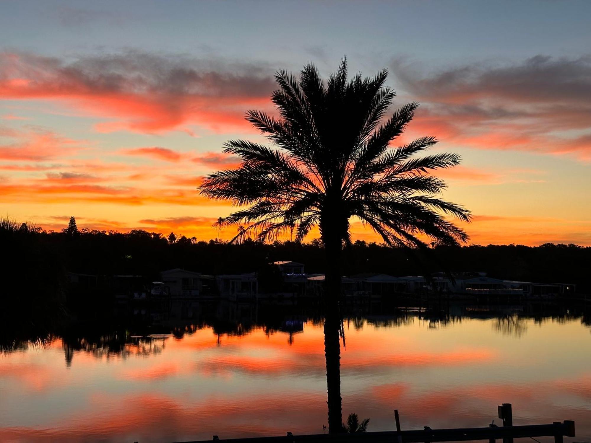 Joyce'S Beachfront #3 Daire Clearwater Beach Dış mekan fotoğraf